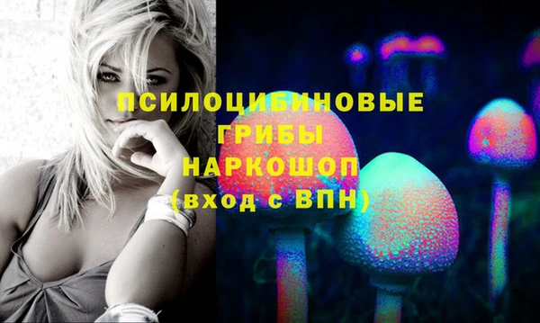 соль ск Нефтекумск