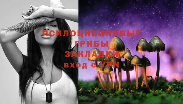 соль ск Нефтекумск