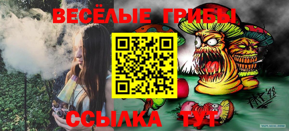 Галлюциногенные грибы Psilocybine cubensis Ступино
