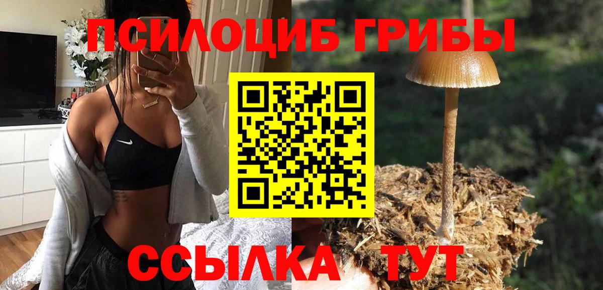 Галлюциногенные грибы прущие грибы  Псилоцибиновые грибы MAGIC MUSHROOMS  Вход с VPN  Ступино 