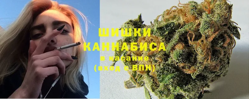 купить наркотик  маркетплейс телеграм  МЕГА ONION  Бошки марихуана Ganja  Ступино 